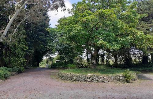 Rhyd-y-clafdy House | Swifts Nest