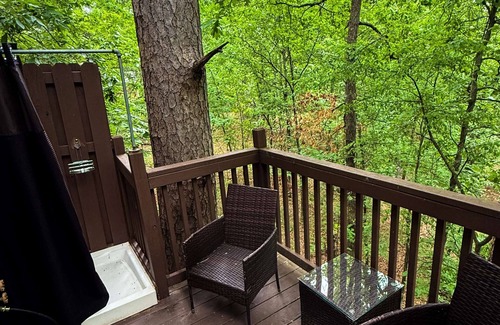 Eureka Springs Cottage | Swiss Chalet Treehouse with Jacuzzi