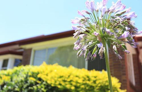 Bexley North House | Sydney, Bexley North holiday home 3bedrooms, free parking, close to Train station and CBD