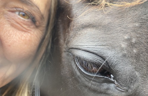 Galston Other | Sydney Horse Riding Retreat