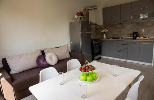 Saints Constantine and Helena Apartment | Symphony Park Studio