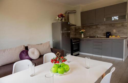 Saints Constantine and Helena Apartment | Symphony Park Studio