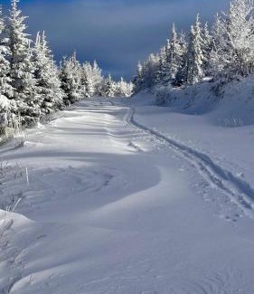 Meszna Apartment | Szczyrkowskie Ski & Fun Widokowy 5