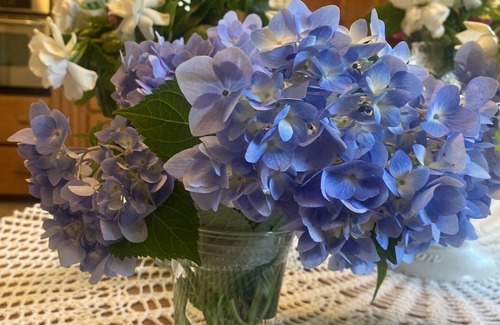 Ruffin Other | t“Authentic 1890s Farmhouse for Antique Lovers & History Buffs”