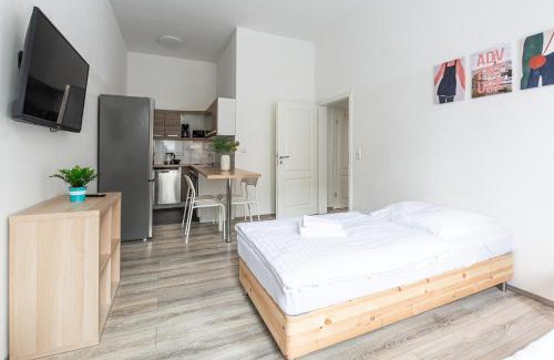 Duesseltal Apartment | T&K Apartments - 2 Room Apartment - Ground Floor