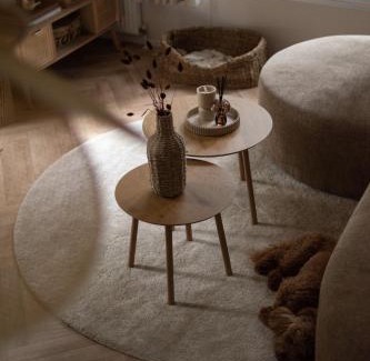 Bosgebied Hoenderloo Ski Chalet | 't Veluws Nest - Knus Chalet Veluwe - Hoenderloo, Honden welkom