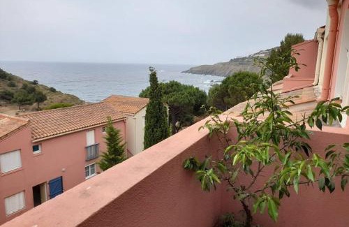 Cerbere Apartment | T2 appartment with sea view and swimmimg pool.
