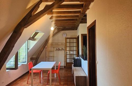 Saumur Apartment | T2 historique de charme Saumur