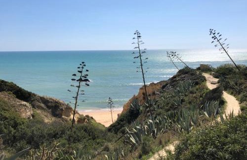 Alporchinhos House | T2 Holiday Cottage near the beach C225