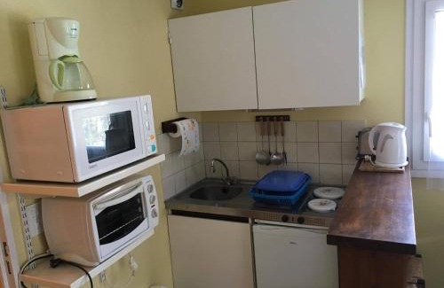 Laveissiere Apartment | T2 Lioran pieds des pistes