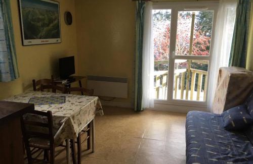 Laveissiere Apartment | T2 Lioran pieds des pistes