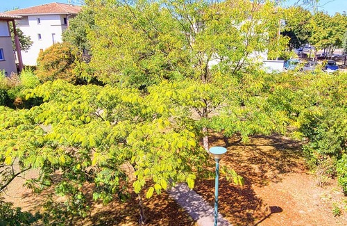 Chateau de l'Hers Apartment | T2 Swimming pool, Tennis court, close to Airbus space, clinic and Cité de l'Espace