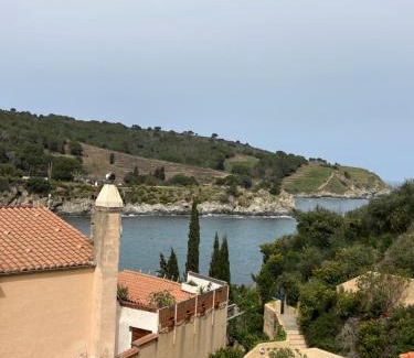 Banyuls-sur-Mer Apartment | T3 PIEDS DANS L'EAU CLIM WIFI TERRASSE VUE MER