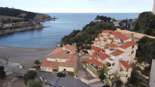 Banyuls-sur-Mer Apartment | T3 PIEDS DANS L'EAU CLIM WIFI TERRASSE VUE MER