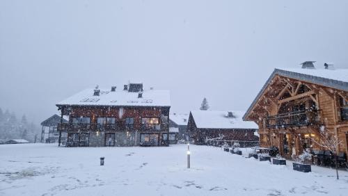 La Chapelle-d'Abondance Apartment | T3 rez-de-jardin avec fitness, sauna et tennis - village et ski à pied