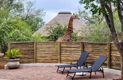 Hoedspruit Cabin | Taaibos Bush Lodge
