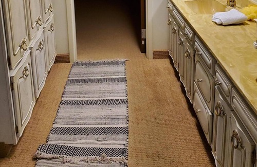 Flint Apartment | Tadrick's Tax Shelter entire private suite over 1000sq ft
