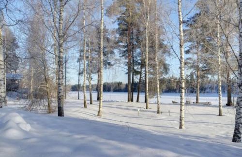 Tahkovuori Villa | TAHKOn Riihiranta - 4 bedroom villa with lake view - Tilava mökki rantanäkymin