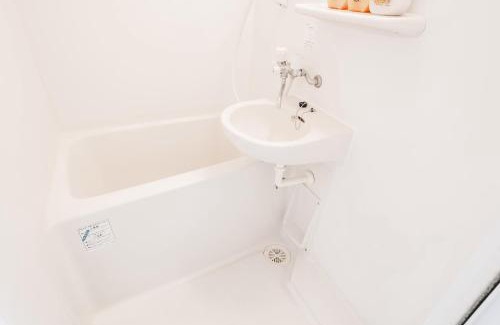 Takadanobaba Apartment | takadababa 4 mins walk/新宿圈! 高速无限制网路/车站步行4分钟新装修公寓102