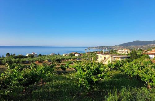 Pylos-Nestoras House | TAKIS BIZOS House 1