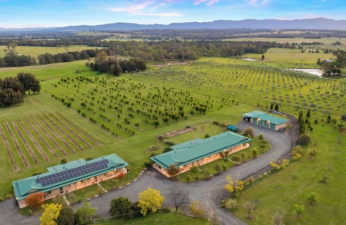 Lovedale House | Talga Estate, Lovedale - 1 Bedroom