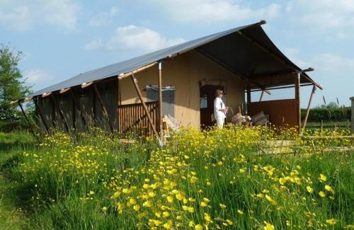 Glastonbury Cabin | Tall Trees Glamping