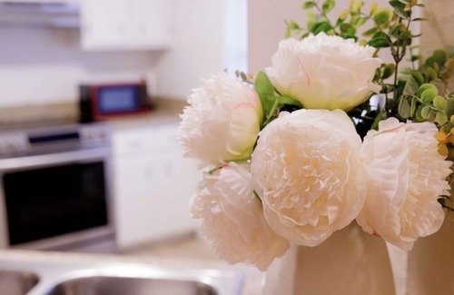 Tallahassee House | Tallahassee Gem: Comfy, Cozy & Convenient