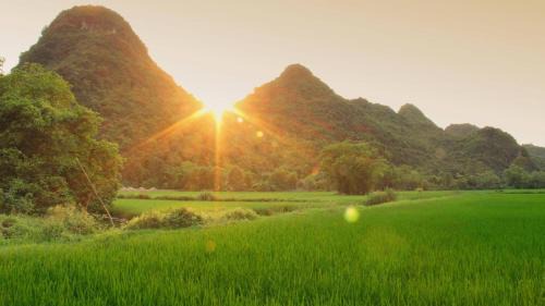 Hoa Lu Resort | Tam Coc Marina villa