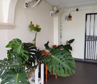 Taman Melati House | Taman Melati by shafa retreat