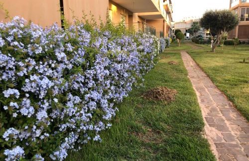 Soualem Trifiya Apartment | Tamaris Résidence les jardins Apparemment haut standing moderne et élégant 77 m