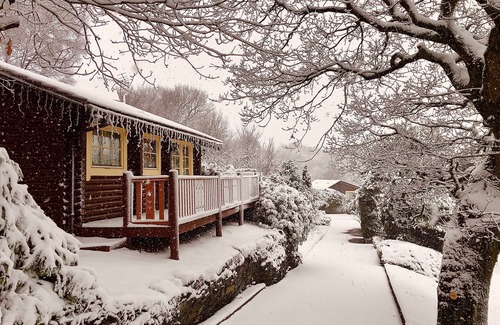 Shipley Cabin | Tamarisk - 5 Star - Pet Friendly - Hot Tub - Scandinavian Log Cabin