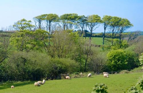 Hartland House | Tamarisk
