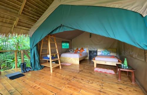 Providencia de Dota Other | Tami Lodge