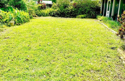 Lake Magdalene House | Tampa Escape, Lush Gardens, Pet-Friendly, 4BR Oasis - Tampa vacation rental