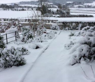 Meifod Bed & Breakfast | TAN Y GRAIG