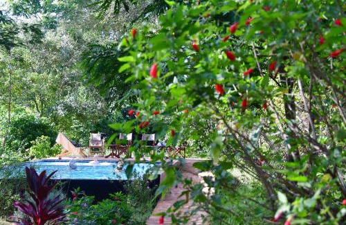 Karatu Cabin | Tanzanice Farm Lodge
