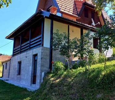 Bajina Basta House | TARA Vila Rajak