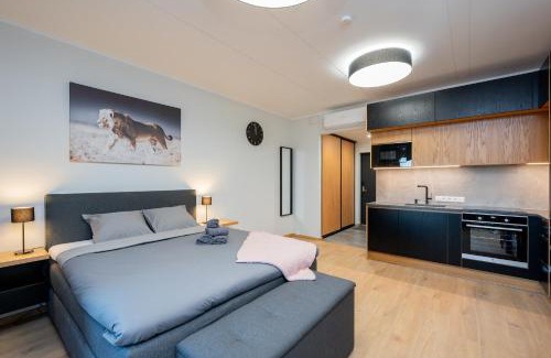 Tartu Apartment | TartuKodu Riia 22-21