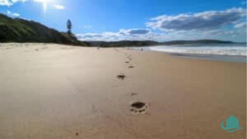 Caves Beach House | Tasmans Hideaway - Stunning villa close to Beach