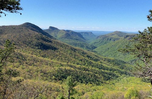 Newland Cabin | Taste of the Gorge - A True Log Cabin Experience
