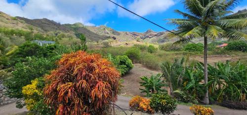 Taiohae Bed & Breakfast | Tatamai
