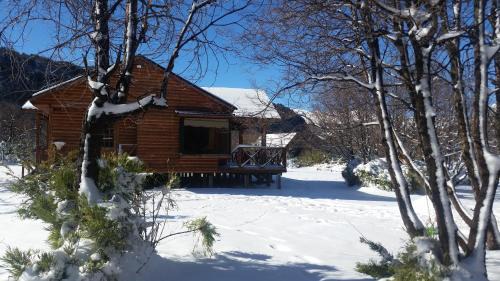 Pinto Cabin | Tatas Haus