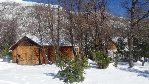 Pinto Cabin | Tatas Haus