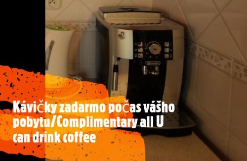 Liptovsky Mikulas Apartment | Tatralandia Apartmán 341