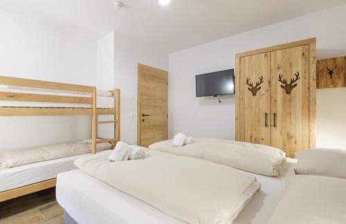 Muehlbach Am Hochkoenig Apartment | Tauernsuites Sonnblick Top 4