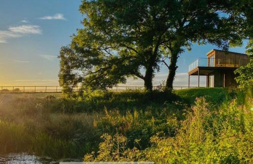 Tiers Cross Apartment | Tawny Lodge - Luxurious 1 Bedroom - Blossom Farm