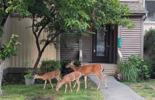 East Stroudsburg House | TDT Poconos Getaways
