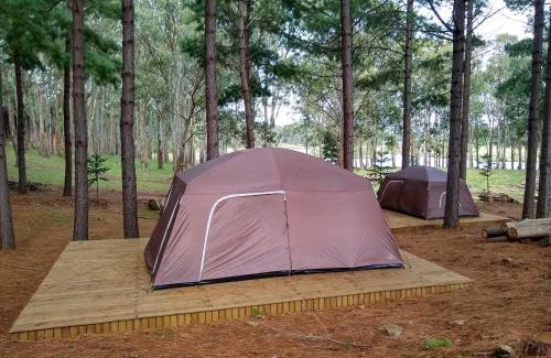Sao Francisco de Paula Other | Tedesco Eco Park