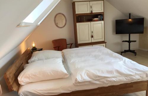 Zentrum Apartment | Teestuuv