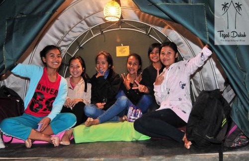 Taro Other | Tegal Dukuh Camp